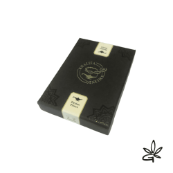 Persian prince feminized x3 - Gardenz CBD shop