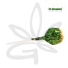 🍊🍭Sucette au cannabis Bubblegum x Orange Bud - Gardenz CBD Shop🍭🍊