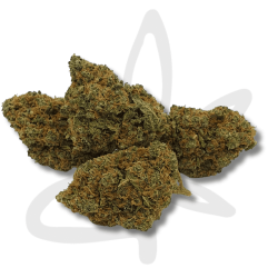 Variété Fleur CBD Blueberry