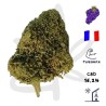 Gardenz - Sélection de Queen Catherine - Meilleur prix