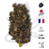 Gardenz - Sélection Black Purple - Meilleur prix