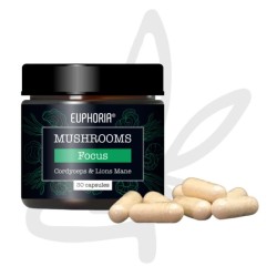 Capsule Lion’s Mane & Cordyceps "Focus" x30 - Euphoria