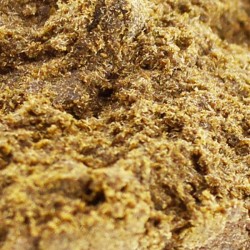 Résine H3 Petrol potion – Résine CBD de qualité | Gardenz