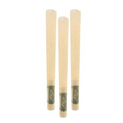 Cones pré-roulés Regular 9mm x3 - Purize