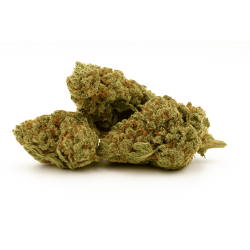 Fleur CBD Alien OG