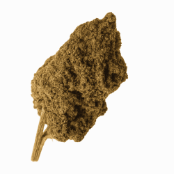 Fleur CBD BZ Tonic