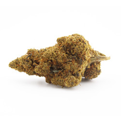 Fleur H3 Turbo - Zkittlez