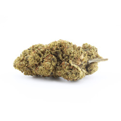 Fleur H3 Turbo - Alien OG