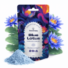 Powder Extract 20:1 (Nymphaea Caerulea) 25g - Canntropy