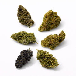 Mix Fleur CBD
