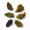 Mix Fleur CBD