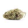 Permanent Marker fleur cbd