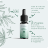 Huile Peace Reminder 20%CBD 10ml - RENACT