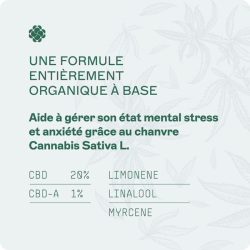 Huile Peace Reminder 20%CBD 10ml - RENACT