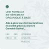 Huile Peace Reminder 20%CBD 10ml - RENACT