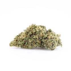 Sour Jack US CBD