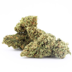 Sour Jack US CBD