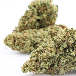 Sour Jack US CBD