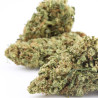 Sour Jack US CBD