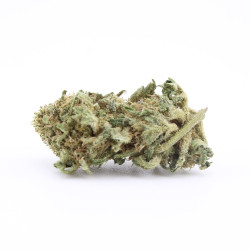 Sour Diesel CBD – Prix réduit, commande en ligne