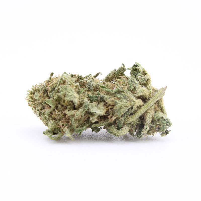 Sour Diesel CBD – Prix réduit, commande en ligne