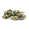 Sour Diesel CBD – Prix réduit, commande en ligne