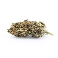 Blueberry