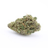 Liberty Haze - Small Buds