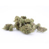 Liberty Haze - Small Buds