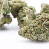 Liberty Haze - Small Buds