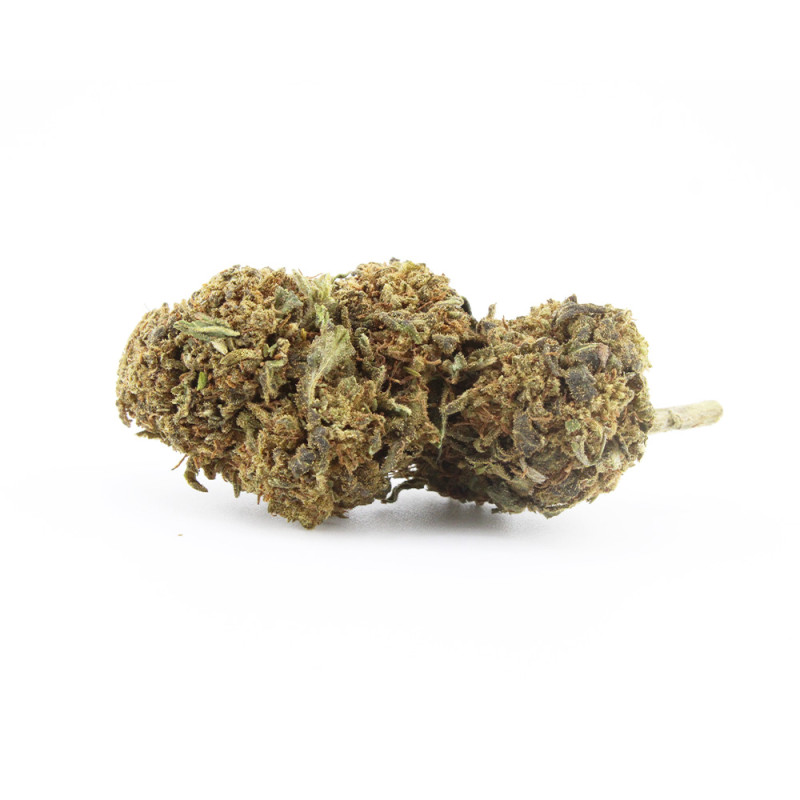Diesel Tonic