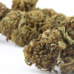 Diesel Tonic