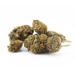 Diesel Tonic