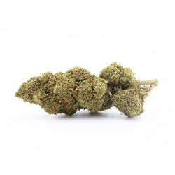 Green Goblin CBD
