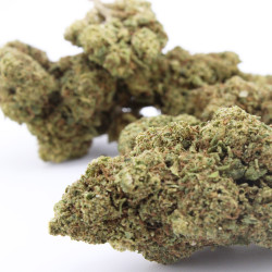 Green Goblin CBD