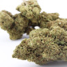 Green Goblin CBD