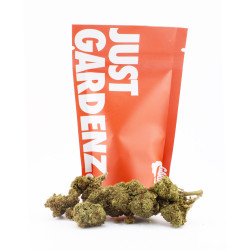 Green Goblin CBD