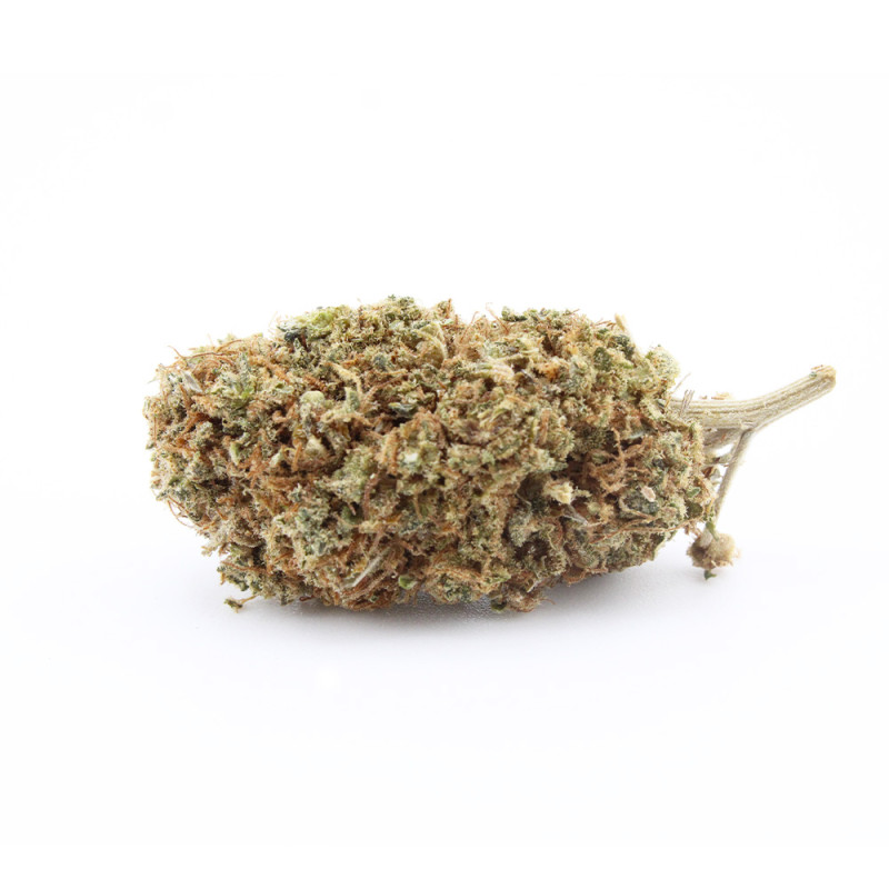 Sapphyre Kush CBD