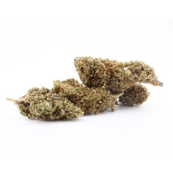 Sapphyre Kush CBD
