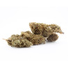 Sapphyre Kush CBD