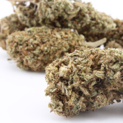 Sapphyre Kush CBD