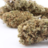 Sapphyre Kush CBD