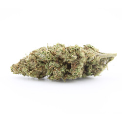 White Tonic CBD