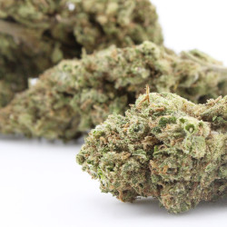 White Tonic CBD