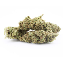 White Tonic CBD