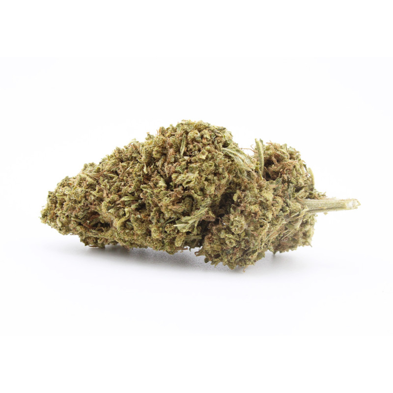 Tropical Punch CBD