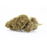 Tropical Punch CBD