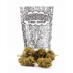 Tropical Punch CBD