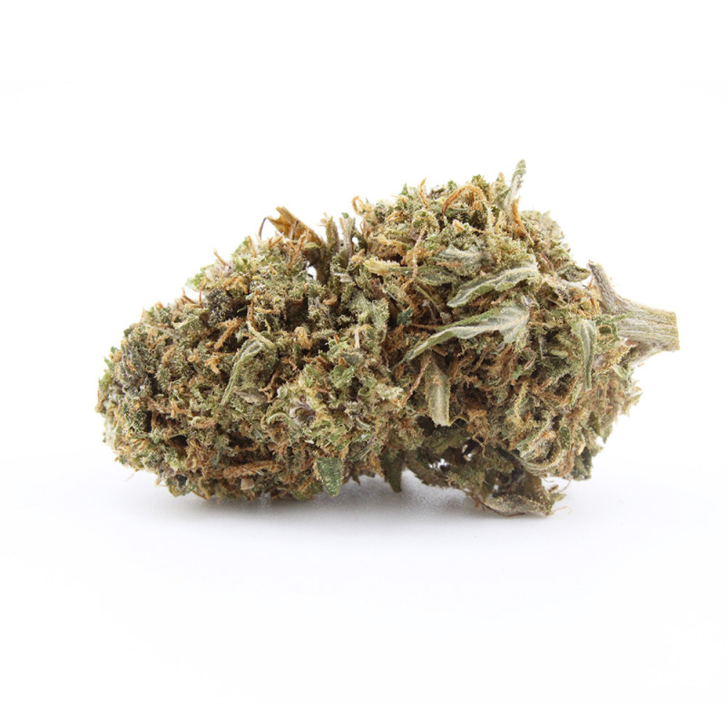 Pink Panther CBD