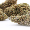 Pink Panther CBD